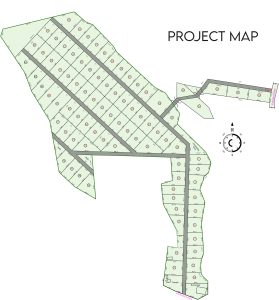 layout map